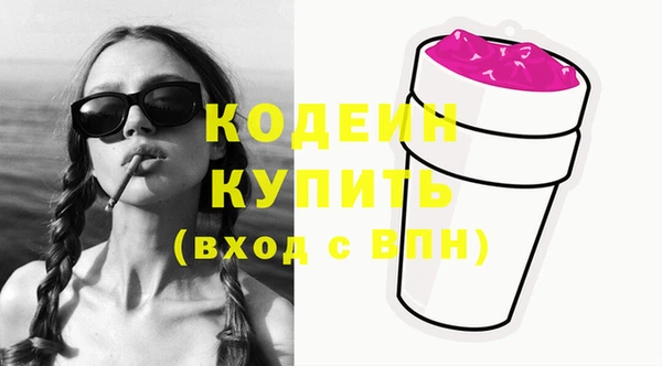 мдпв Костерёво