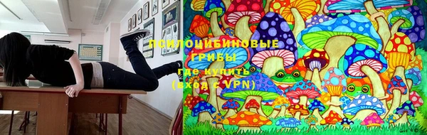 кокс Корсаков