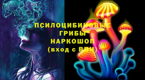 кокс Корсаков