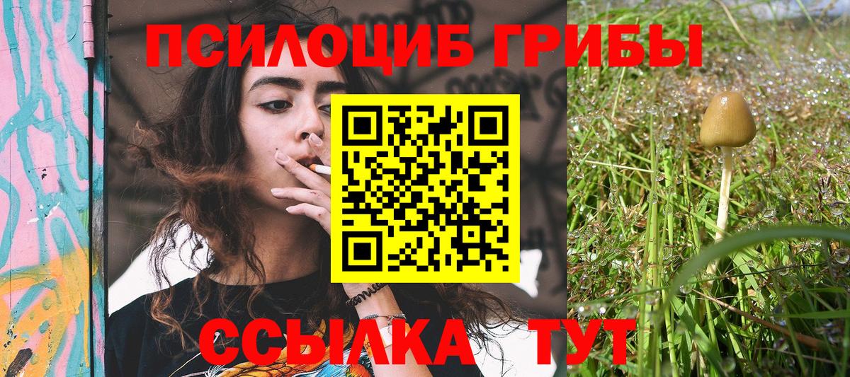 Галлюциногенные грибы мухоморы Сосновоборск