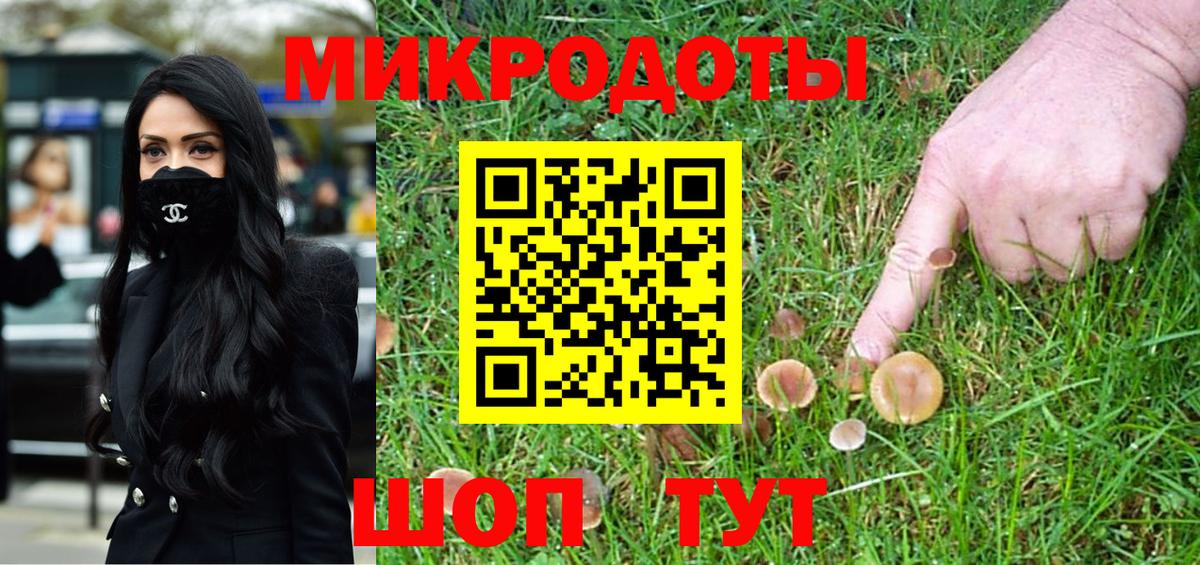 Галлюциногенные грибы MAGIC MUSHROOMS  закладки  Сосновоборск  Вход с VPN 